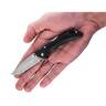 Buck Knives Bantam BBW 2.75 inch Folding Knife - Black