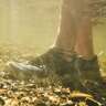 Danner Men's Rivercomber Low Hiking Shoes