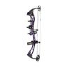 G5 Quest Storm 30-60lbs Right Hand Realtree Xtra Purple Compound Bow - Package - Purple