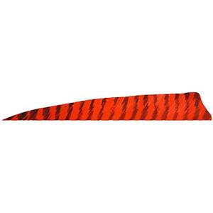 Gateway Feathers Shield Cut 4in Barred Red Feathers - 50 Pack