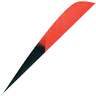 Gateway Feathers Parabolic Kuru Red 4in Feathers - 50 Pack - Red / Black 4in