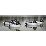 Higdon Standard Foam Filled Goldeneye Drakes Duck Decoys - 6 Pack