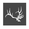 Hunters Image Elk Skull Quartering Decal - Large - White 8in x 8in