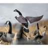 Lucky Duck Canada Goose Flapper Motion Decoy
