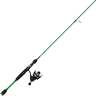 Mitchell 300 Pro Rod and Reel Combo