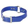 Nite Lite Day-Glo Dog Collars - Blue - Blue Medium