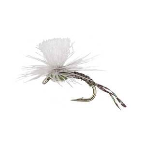 RoundRocks Blue Wing Olive Parachute Emerger Fly - 6 Pack
