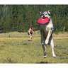 Ruffwear Hover Craft Dog Toy - Red