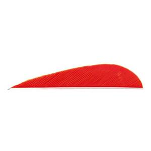 Trueflight Parabolic 3in Red Feathers - 100 Pack