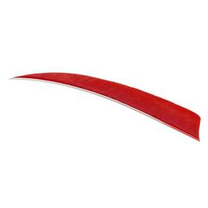 Trueflight Shield Cut 5in Red Feathers - 100 Pack