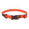 Water & Woods Adjustable Dog Collar - Safety Orange - M - Safety Orange Medium